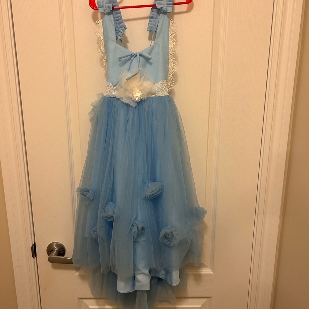 Elegant Blue Tulle Dress with Floral Accents - Picture 1 of 7